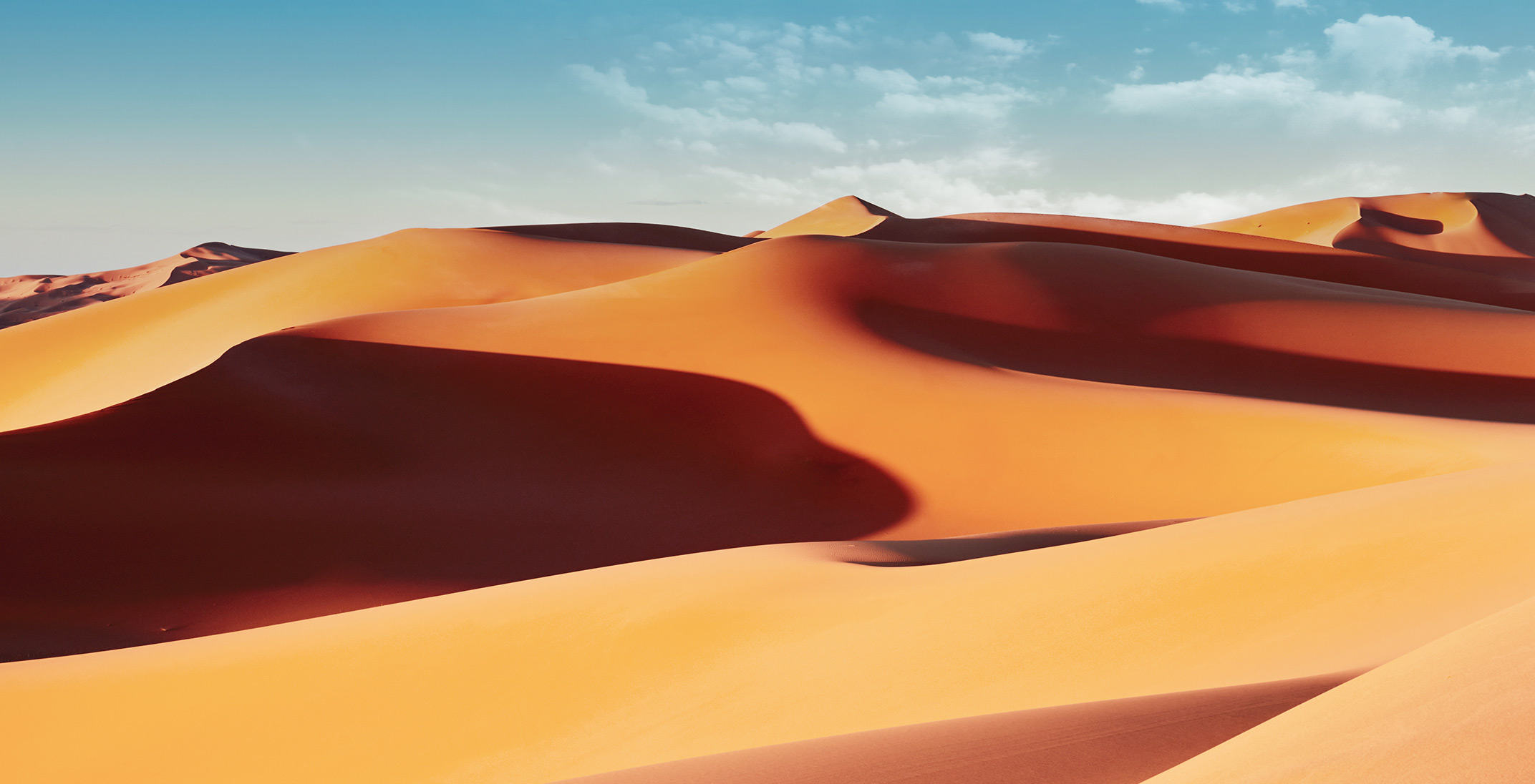 Landscape photo of Sand dunes