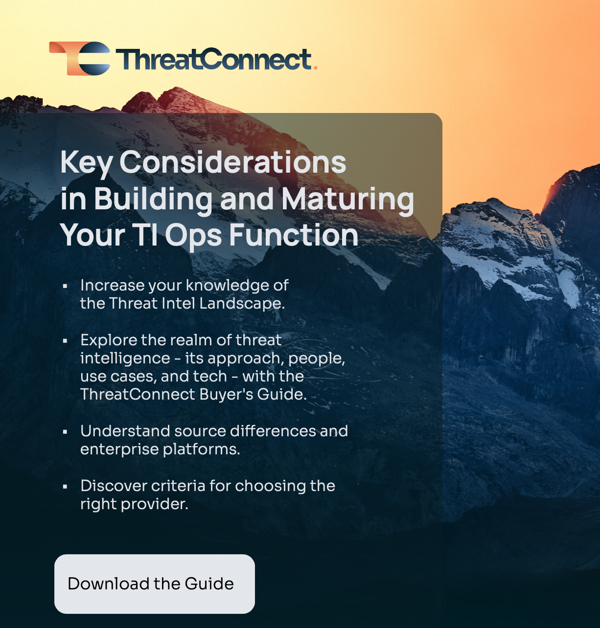 ThreatConnect Buyer's Guide Infographic