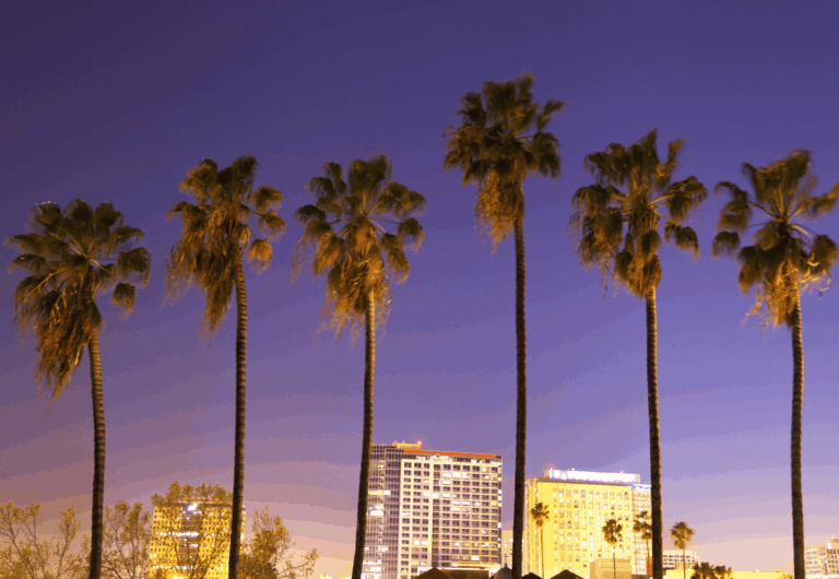 Silicon Valley Cybersecurity Summit